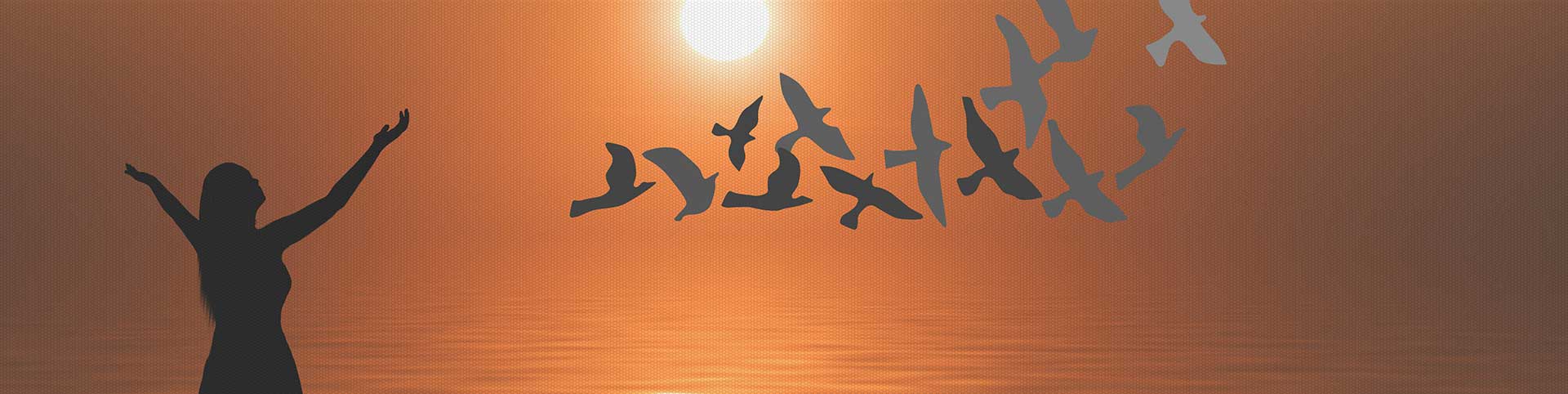 birds